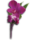Perfect Purple Orchid Boutonniere from Olney's Flowers of Rome in Rome, NY